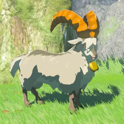 white goats totk.